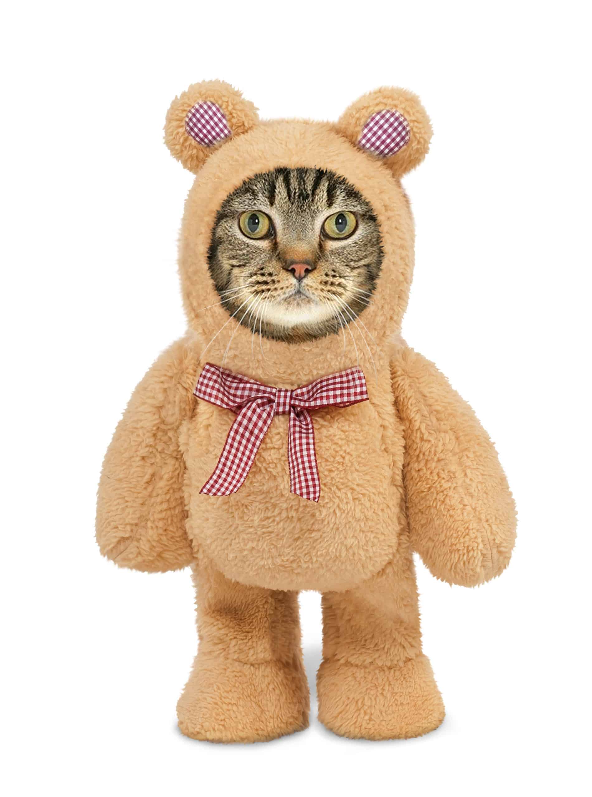 Walking Teddy Bear Cat Costume