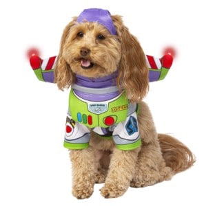 Chicago Blackhawk Dog Collars & Pet Gear - Pet Costume Center