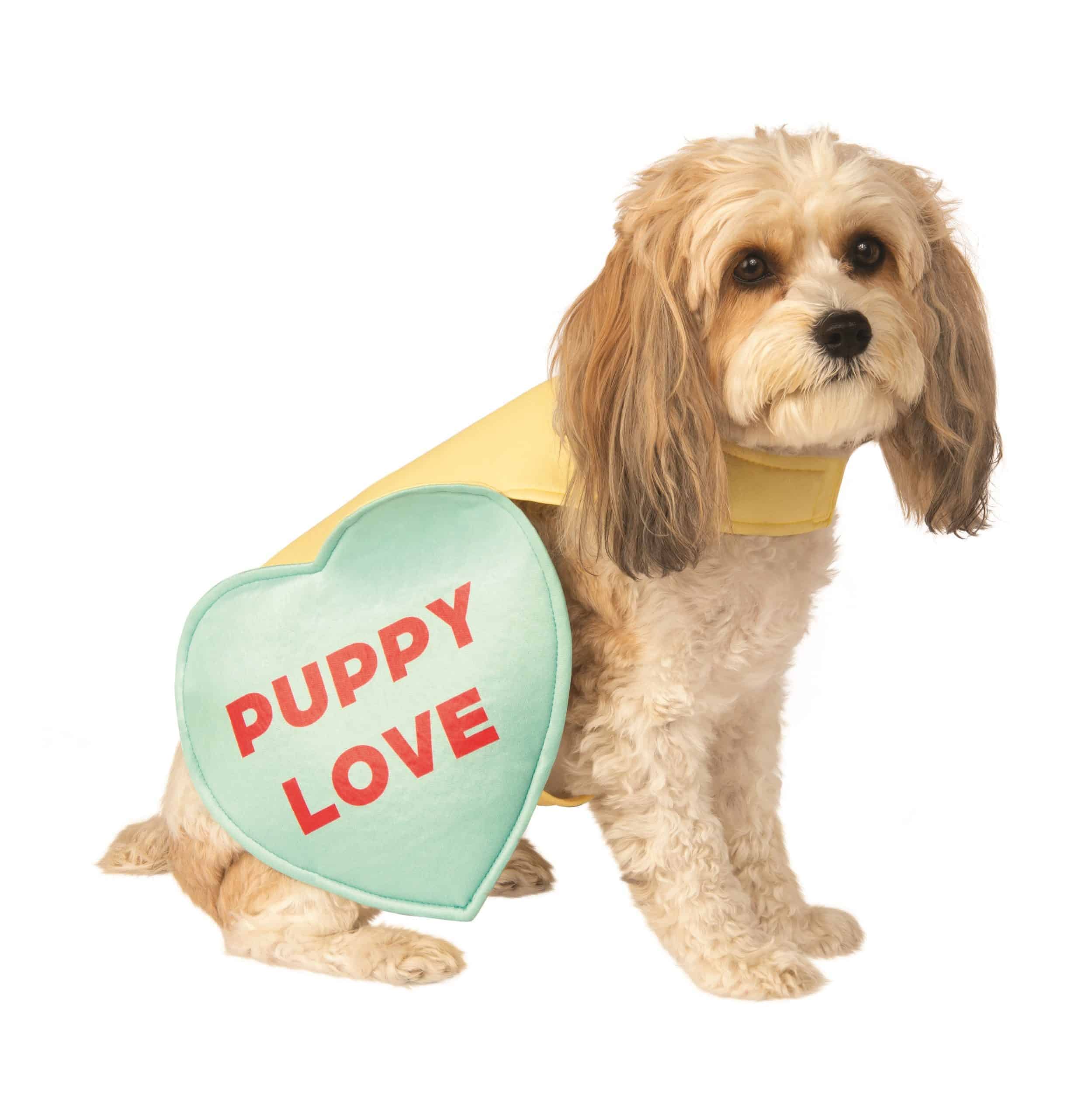 Pet heart. Dogs and Candy. Candy dogshop. Кэнди дог. Мой питомец собака Кэнди.
