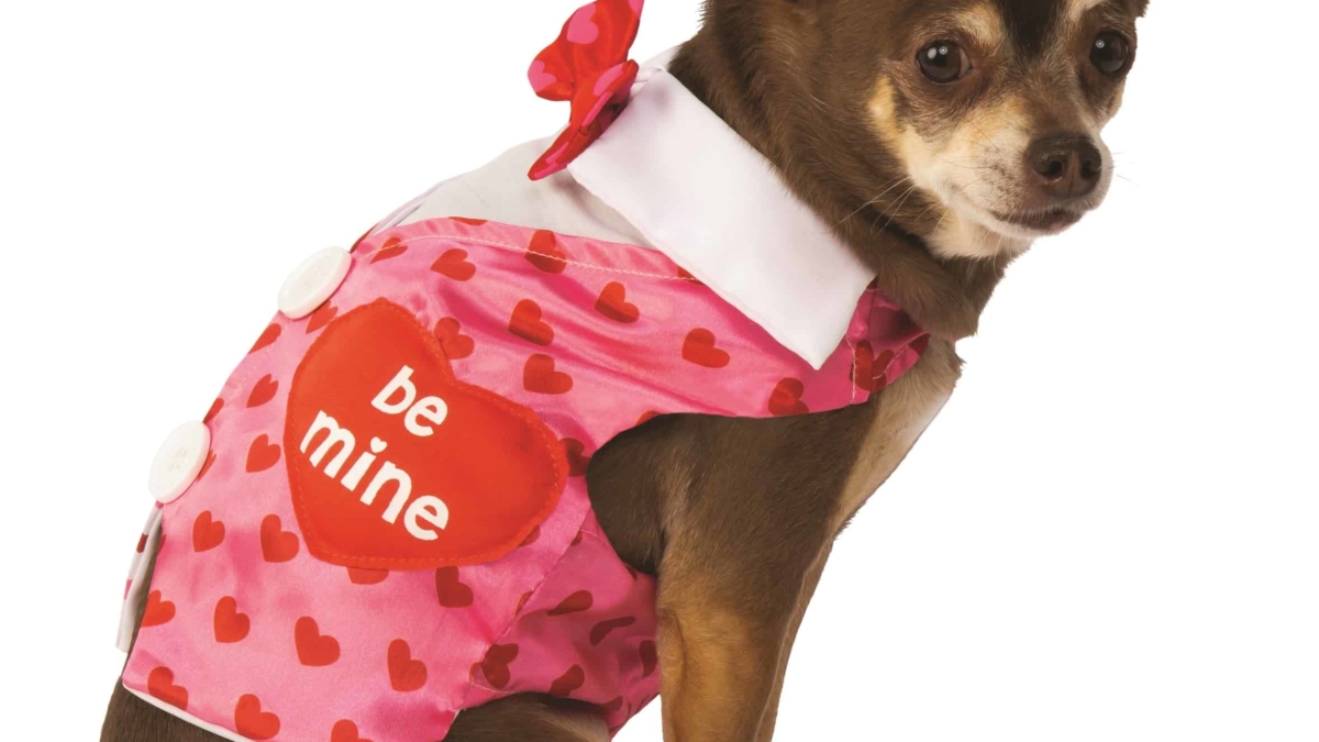 Coomour Pet Dog Happy Valentines Day Hoodies Cat Heart Costume Puppy Clothes for Dogs Cats Outfit S