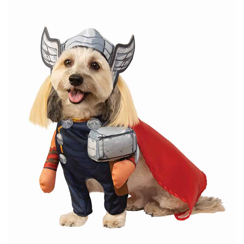 Marvel dog costume
