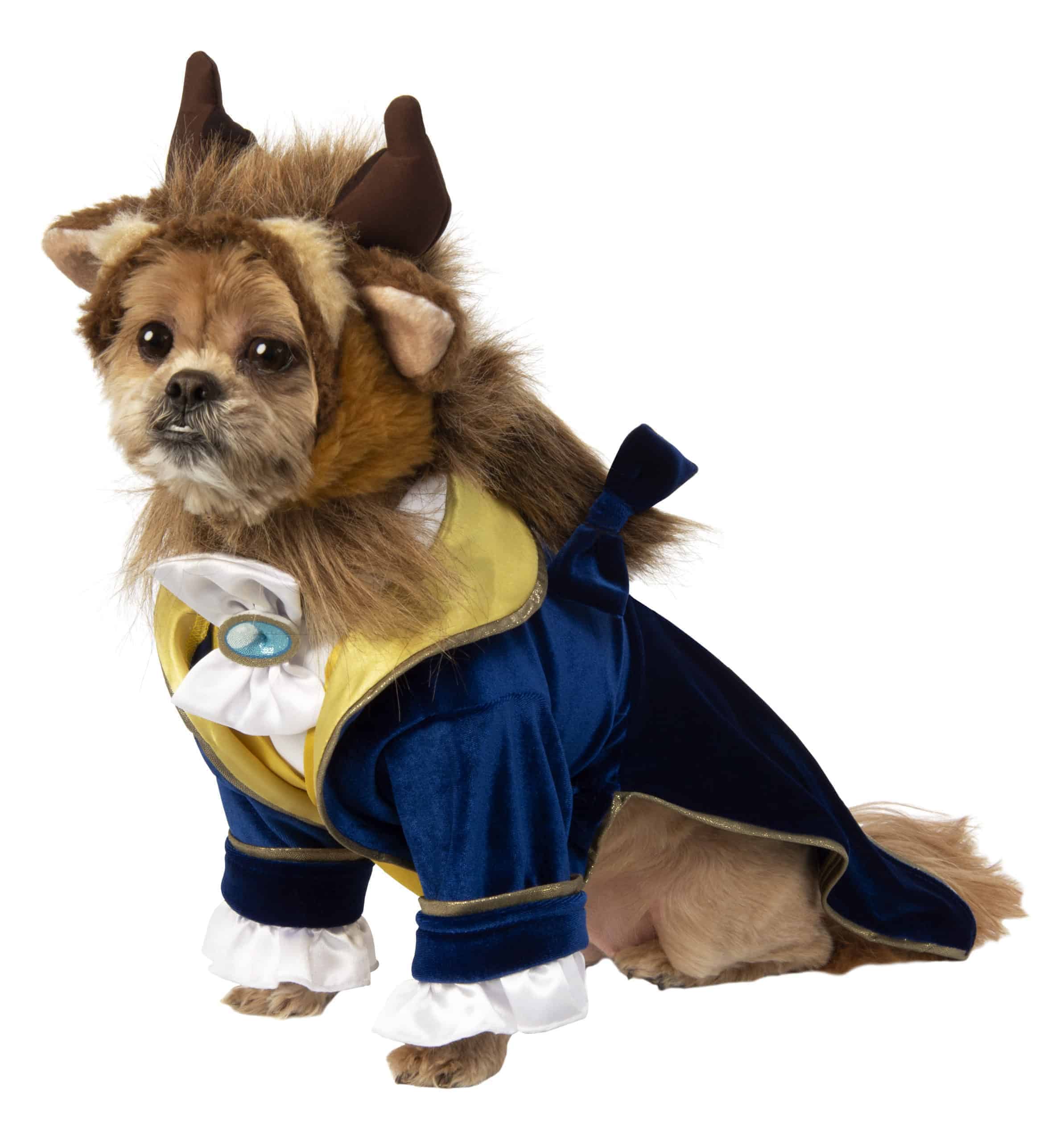 Disney Beauty and The Beast: Beast Dog & Cat Costume