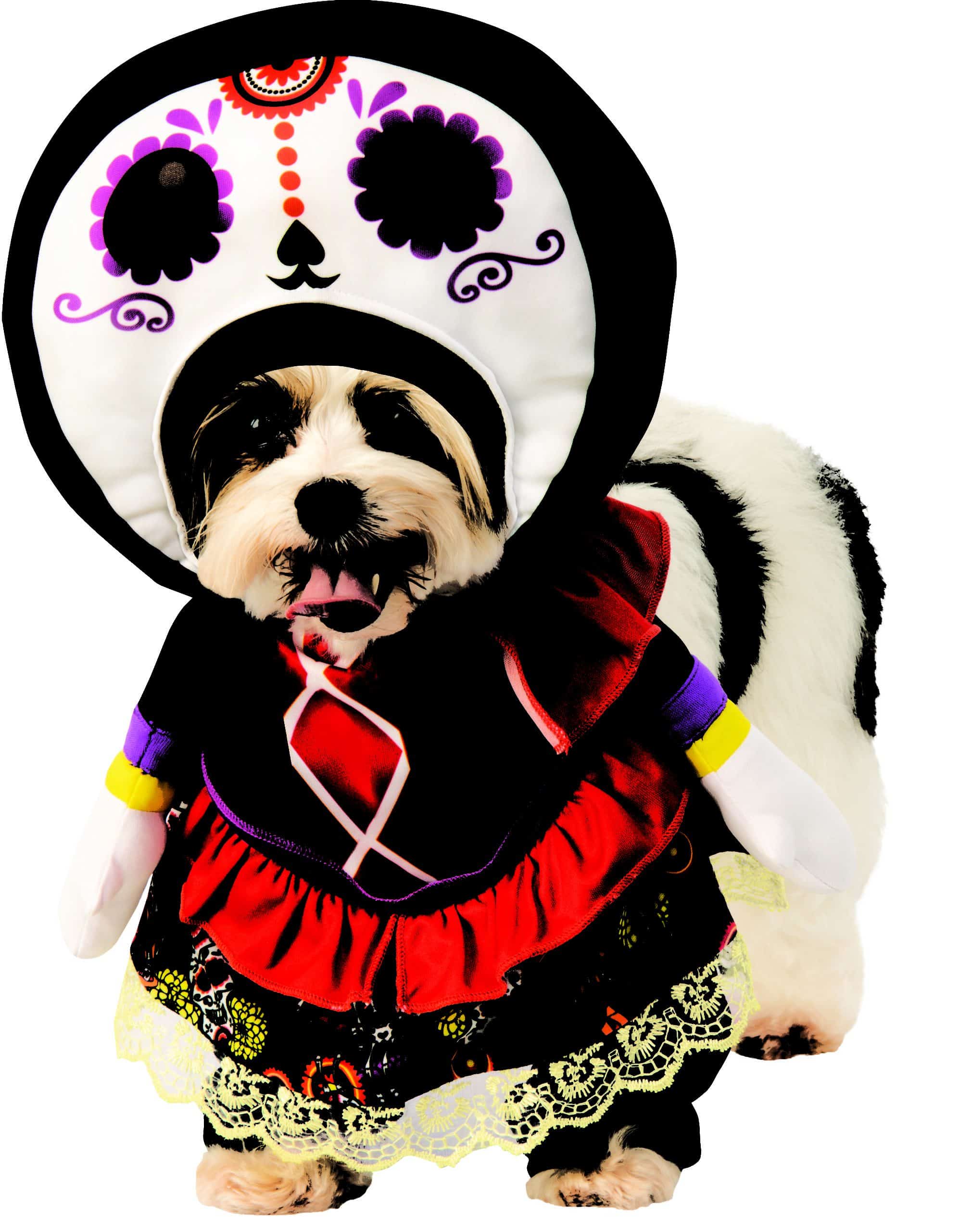 Featured image of post Dead Dog Cartoon : Day of the dead pattern with dogs, cotton face mask.