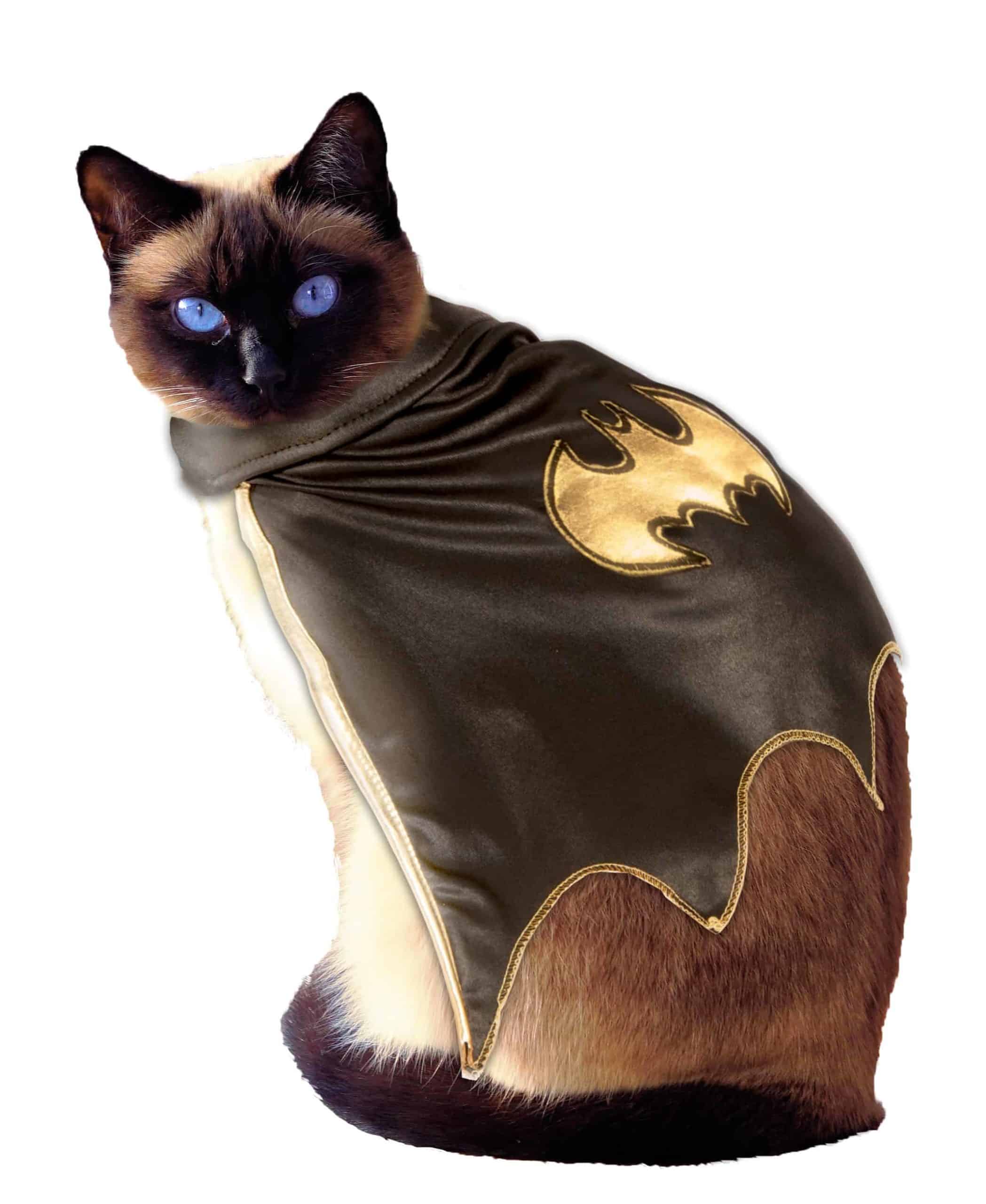 Batman Cape Cat Costume - Pet Costume Center.