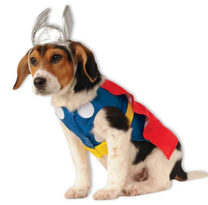 Thor Dog & Cat Costume Pet Costume Center