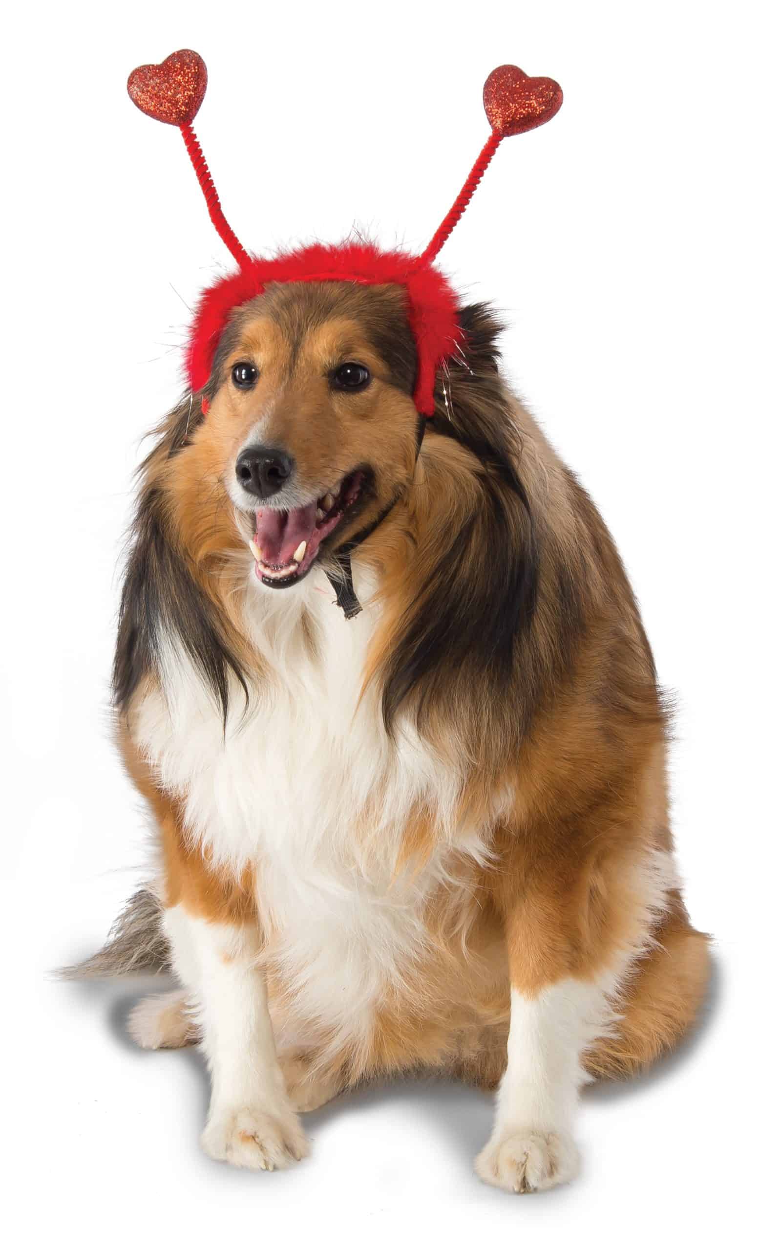 BWOGUE Valentines Day Dog Costume Red Love Hearts Dog Headband with Collar Holiday Birthday Party Headwear Costume Gift for Small Medium Dogs