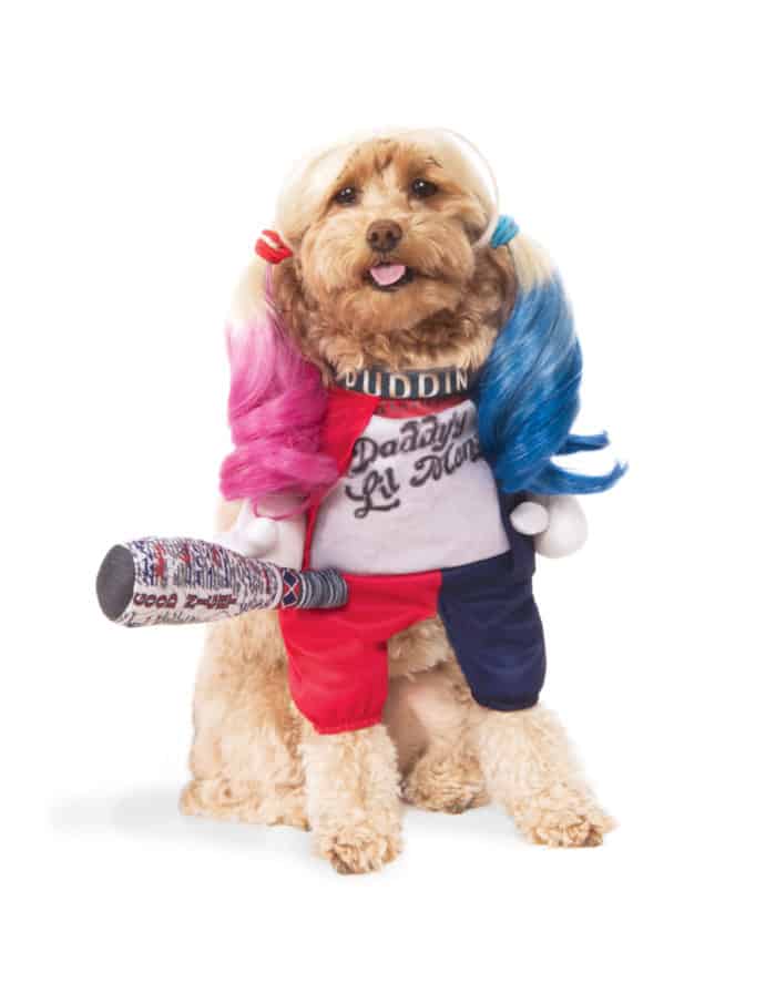Harley Quinn Suicide Squad Dog & Cat Pet Costume Pet Costume Center