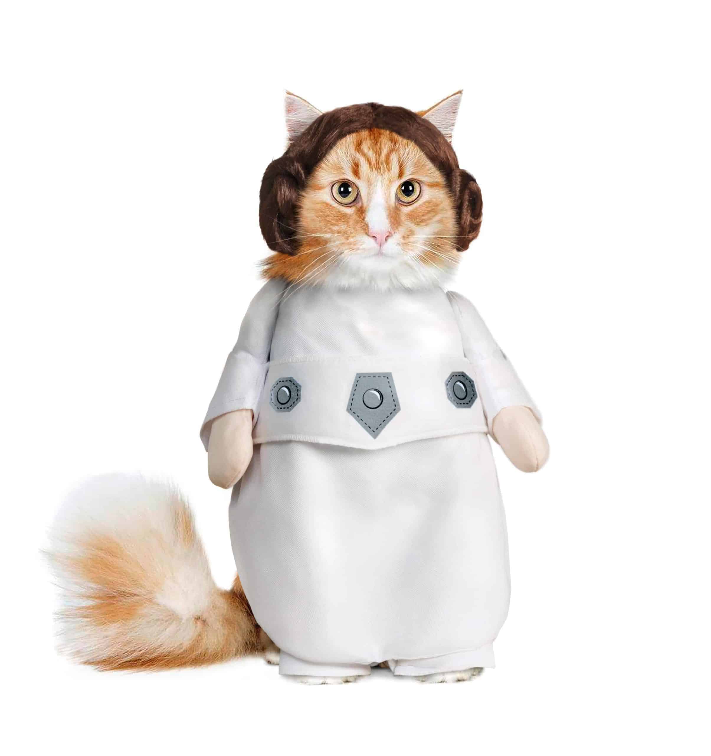 Cat Princess Leia Costume Cat Leia Princess Costumes Hat Etsy Cats Wars
Star