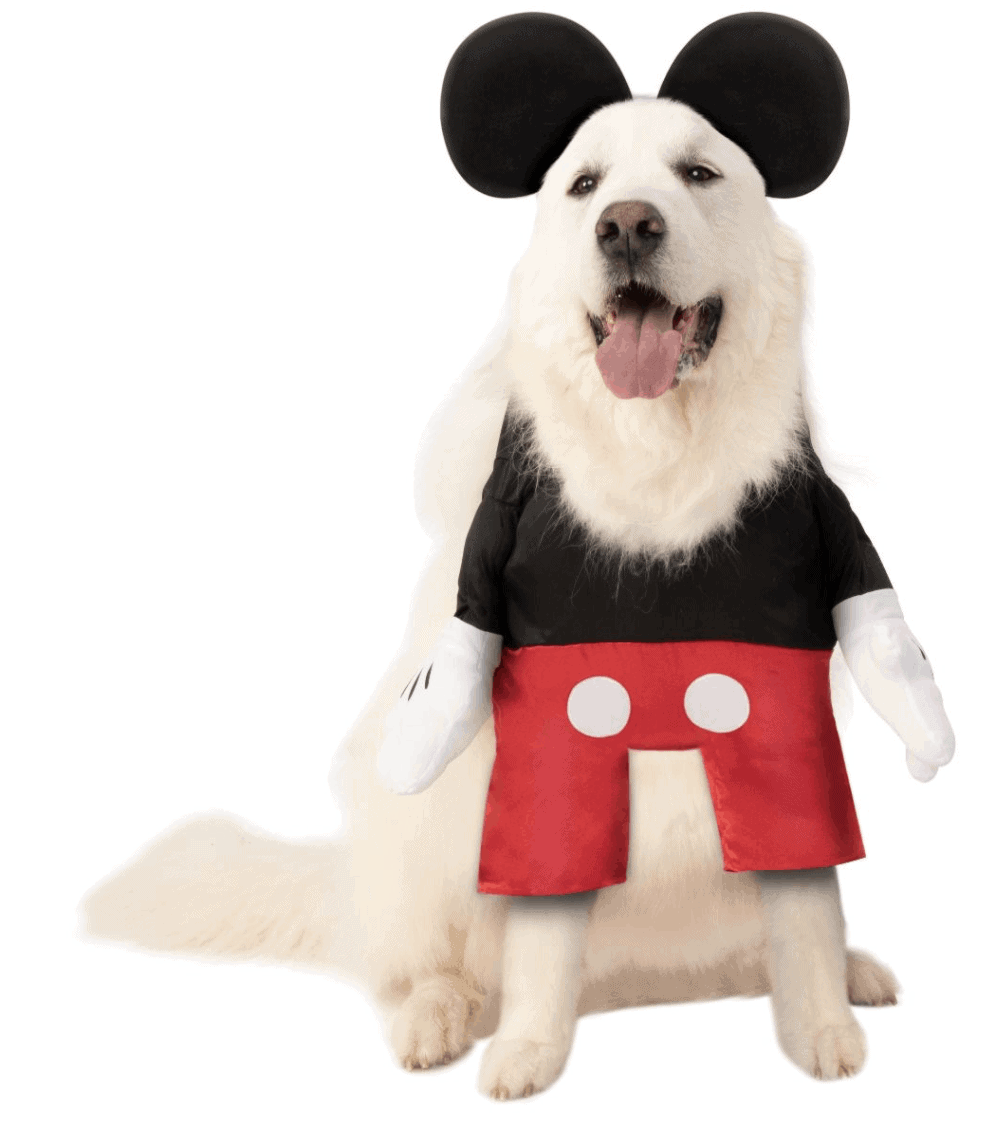 Disney MICKEY MOUSE ~ PET DOG HOODIE ~ XS M  L  XL  ~ NEW 
