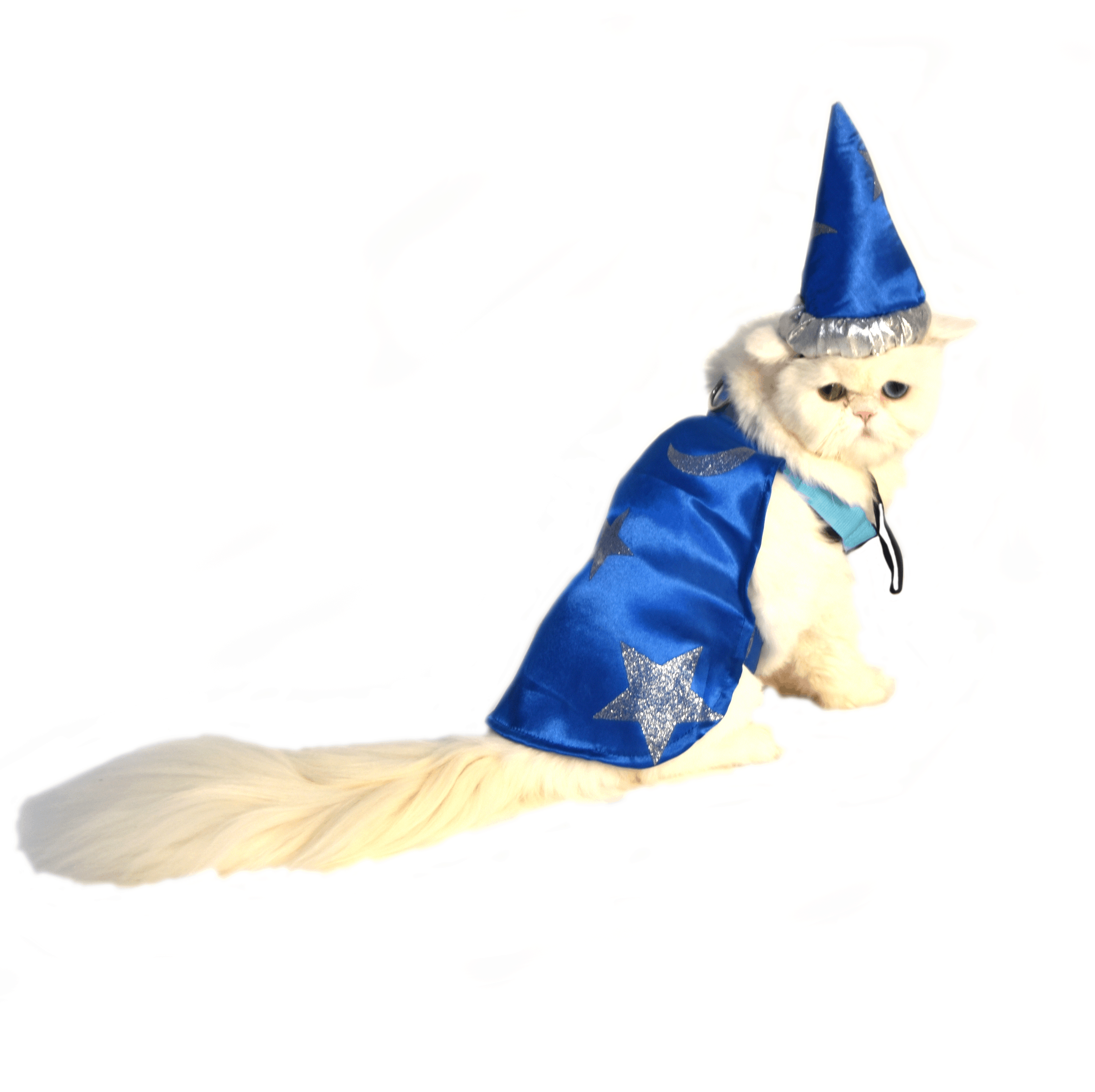 cat wizard costume