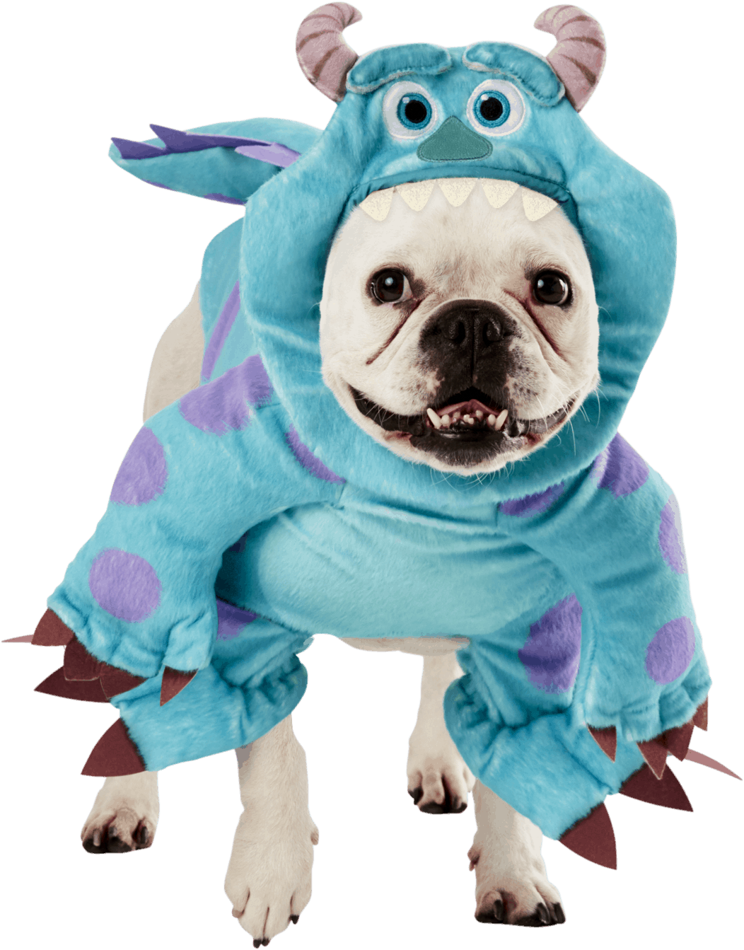 Sulley Monsters Inc Dog & Cat Costume - Pet Costume Center