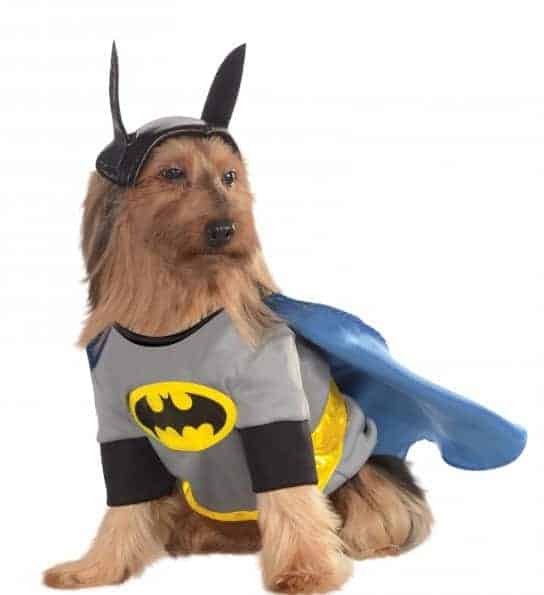 Muscle Batman Pet Dog Puppy Cat Superhero Justice League Costume XS-L 