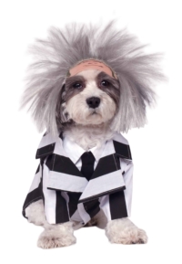 Michael Myers Dog & Cat Costume - Pet Costume Center