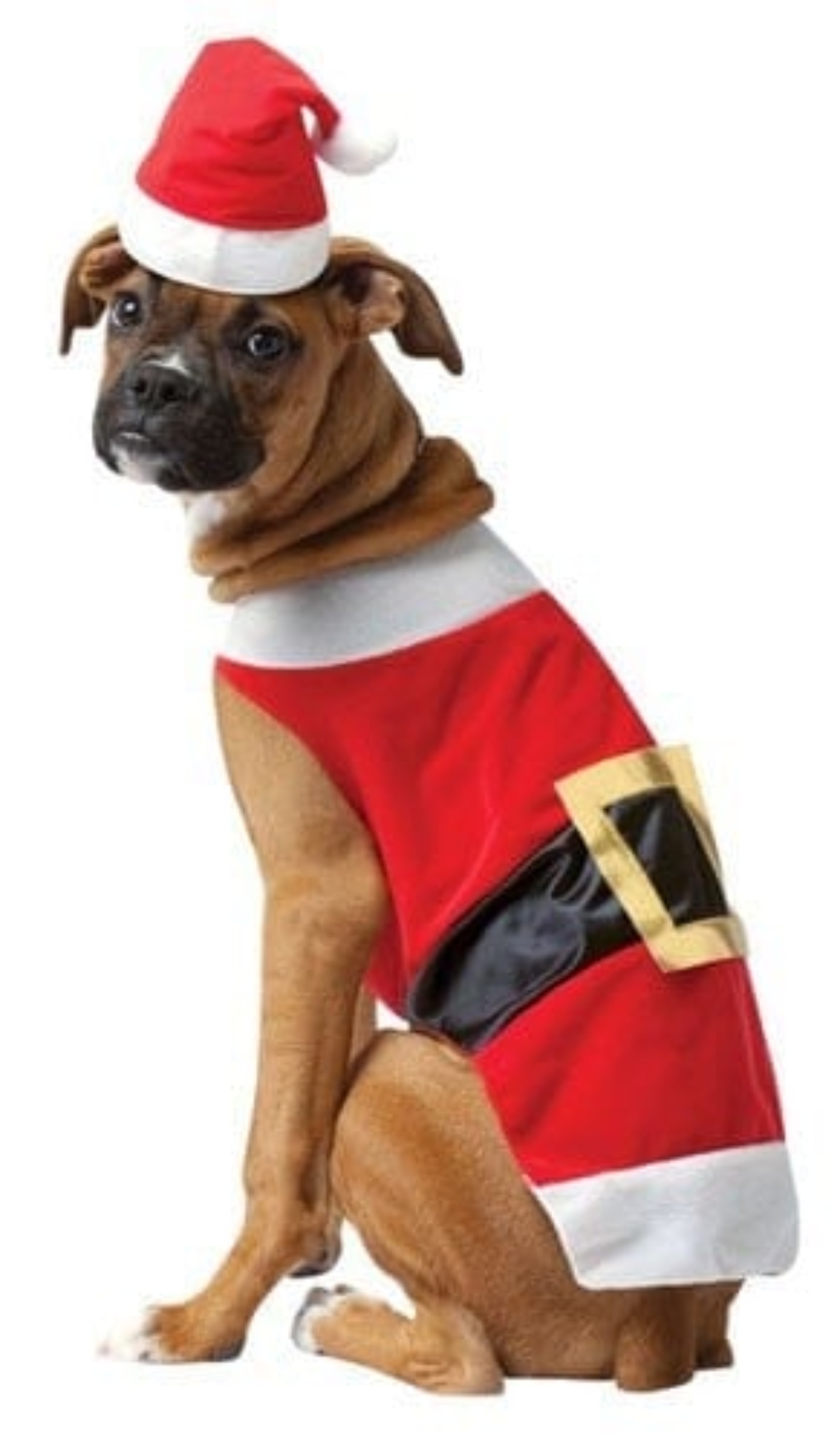 Large DroolingDog Dog Christmas Shirts Dog Santa Costume Pet Christmas Shirts for Small Dogs Red