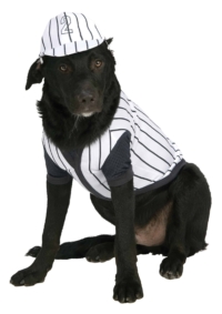 Football Costume for Pets — Costume Super Center
