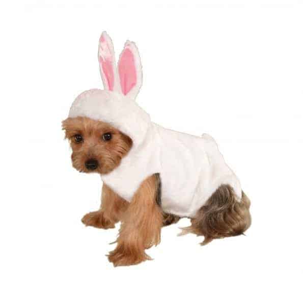 Bunny Dog & Cat Costume - Pet Costume Center