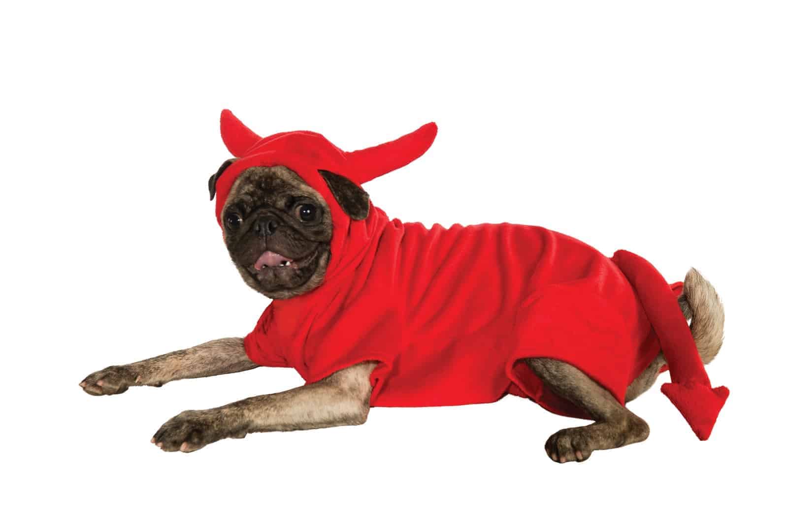 Devil - Pet Costume Center