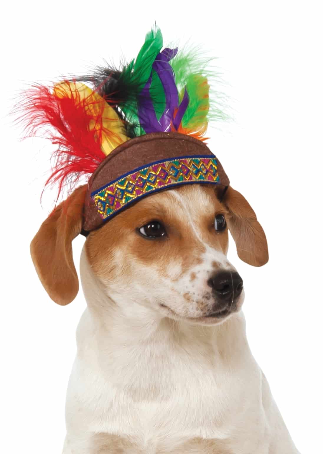Dog Indian Headdress Pet Costume Center
