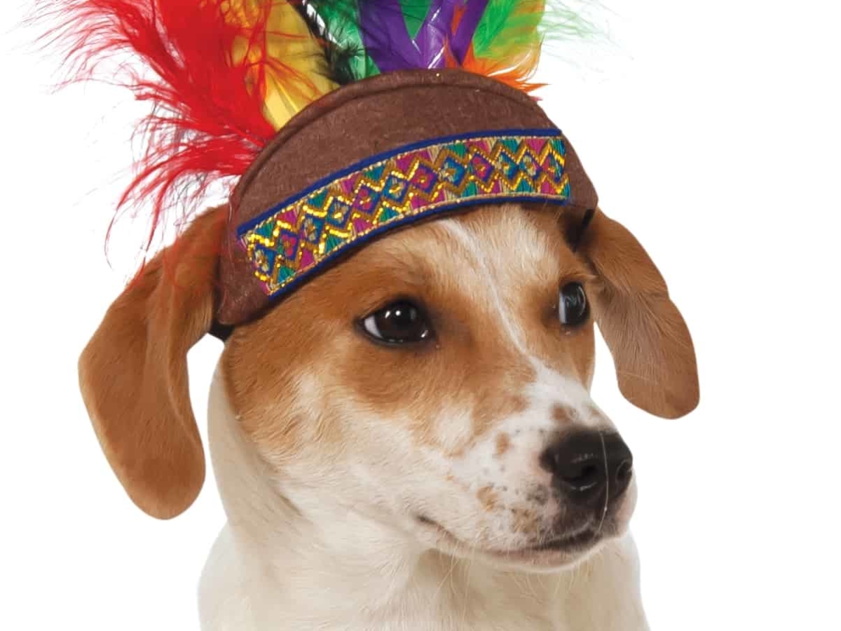 Dress Costume Pet Dog Cat Wild West Indian Feather Headdress Hat MA