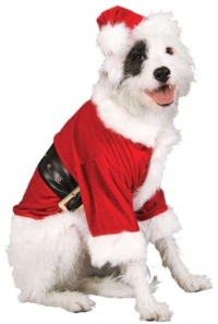 santa dog outfits for christmas