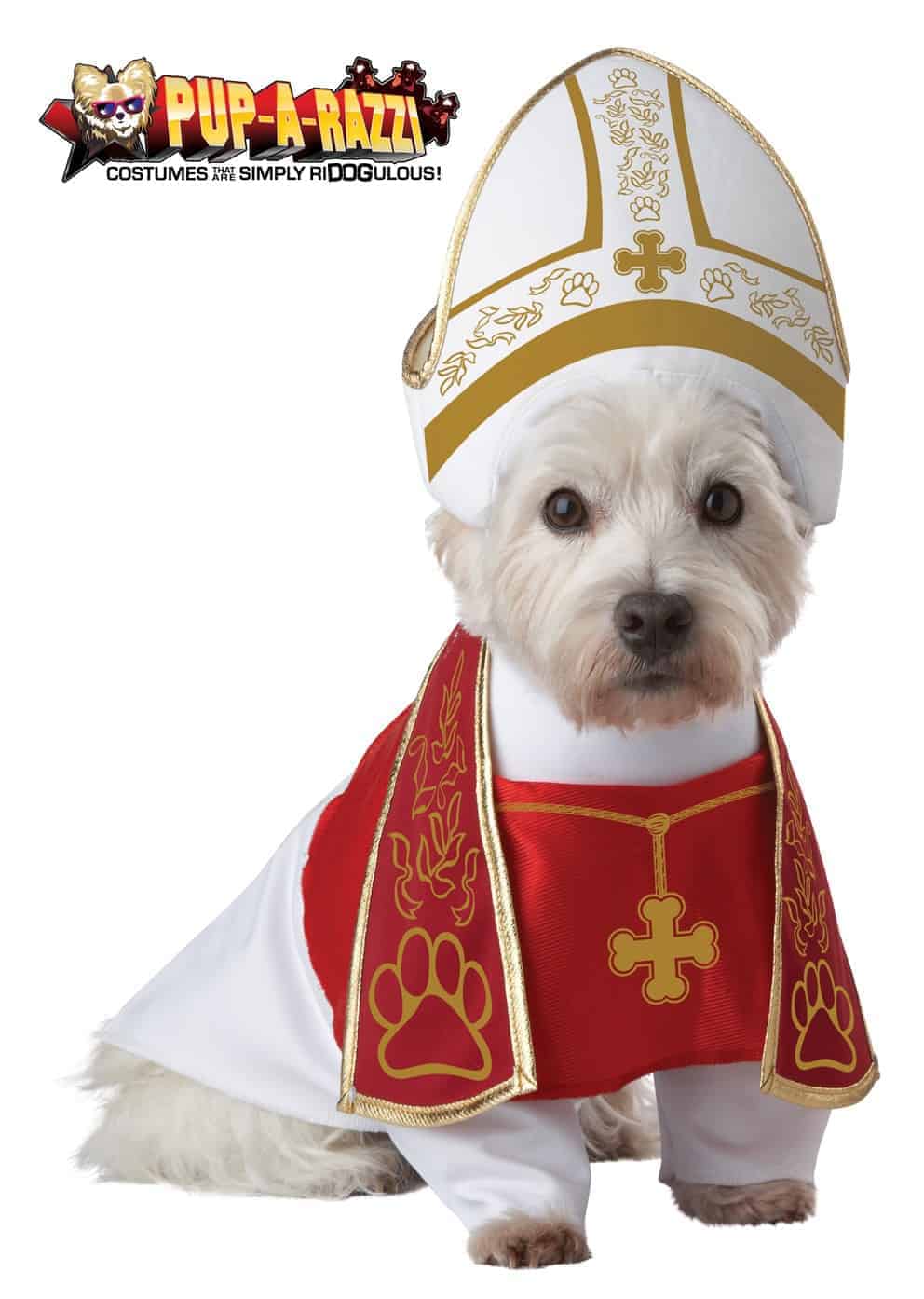 Gutter Ti frugthave Holy Hound Pope Dog & Cat Costume - Pet Costume Center