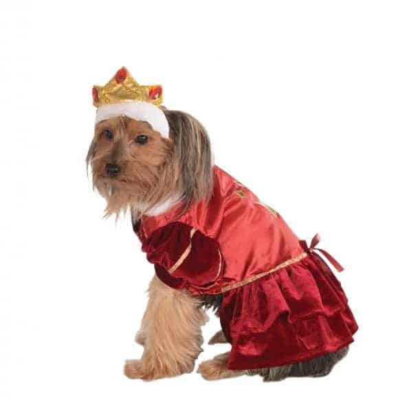 Kanine Queen Dog Costume - Pet Costume Center