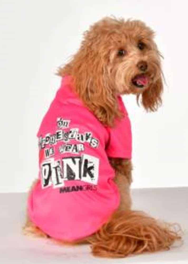 On Wednesdays We Wear Pink Mean Girls Dog & Cat Costume - Pet Costume Center