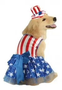 4th of july dog outfits best sale