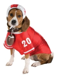 Red football player dog costume