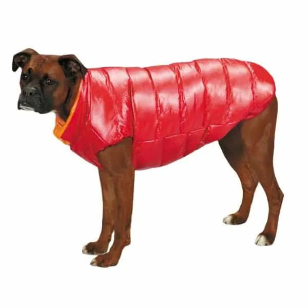 Puffy dog jacket hotsell