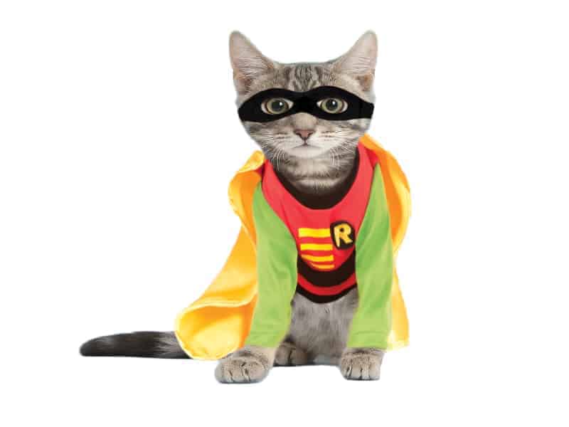 Robin Cat Costume - Pet Costume Center