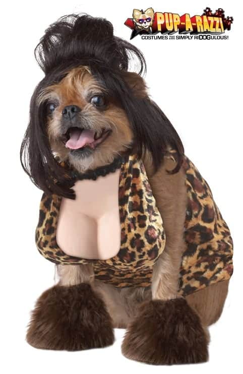ulækkert pisk Skuespiller The Lady Is A Tramp Dog Costume - Pet Costume Center
