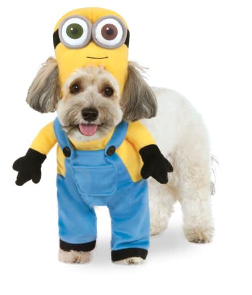 Walking Minion Bob Dog & Cat Costume - Pet Costume Center