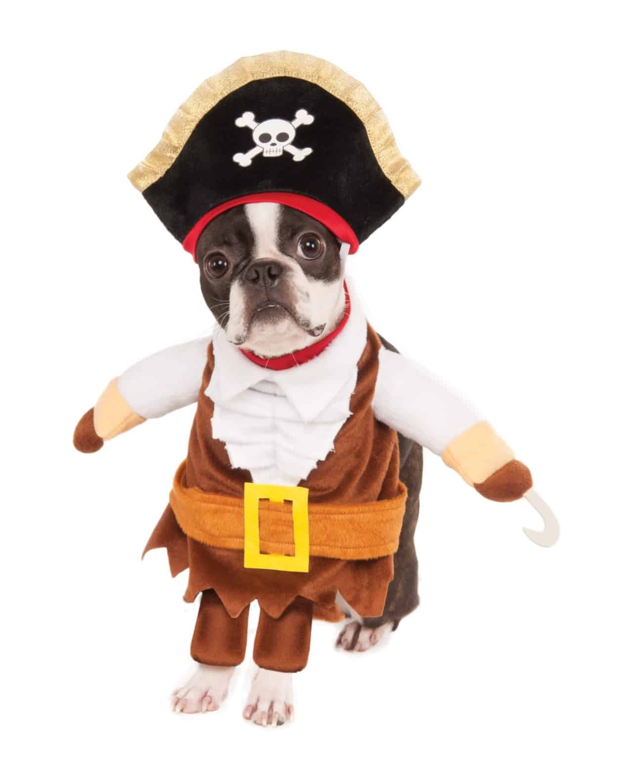 Pirate - Pet Costume Center