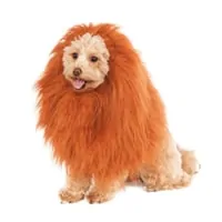 Animal Costumes for Dogs