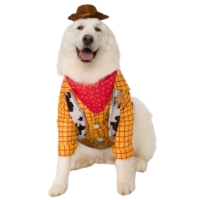 Big Dog Woody Toy Story Costume