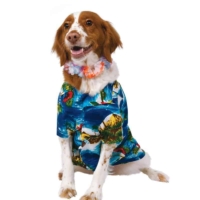 Dog Summer Clothes