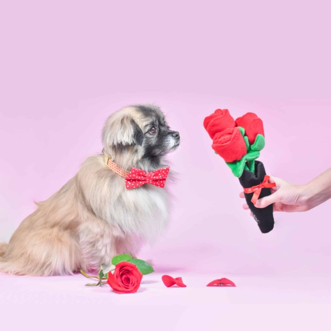 Red Roses Flower Bouquet Dog Toy