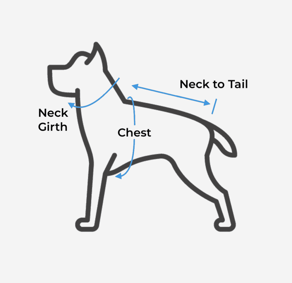 how do you measure a dogs bust