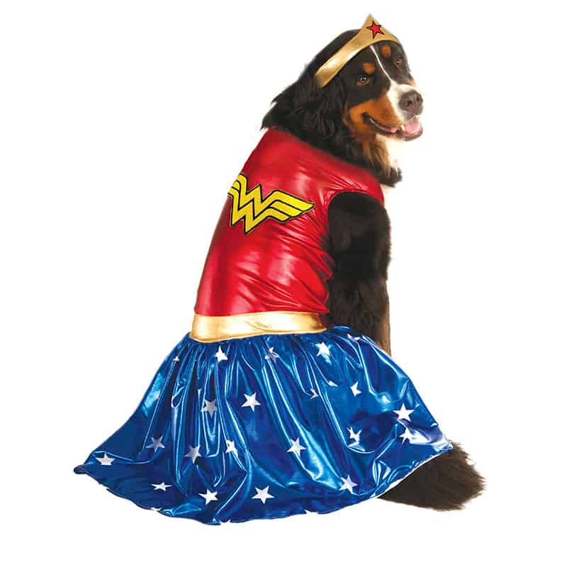 Big Dog Wonder Woman Costume 