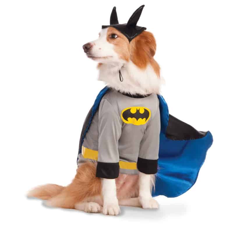 Big Dog Batman Costume