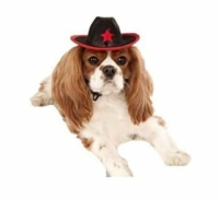 Black Cowboy Hat with Star Dog & Cat