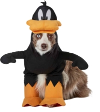 Daffy Duck Looney Tunes Dog & Cat Costume