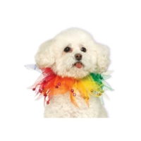 Fancy Rainbow Cat & Dog Collar