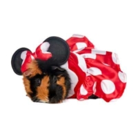Minnie Mouse Guinea Pig Pet Costume