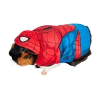 Spiderman Guinea Pig Pet Costume
