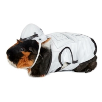 Stormtrooper Star Wars Guinea Pig Pet Costume
