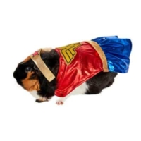 Wonder Woman Guinea Pig Pet Costume