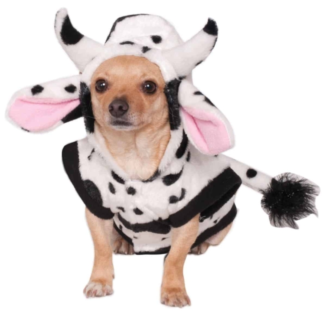 Cow Dog & Cat Costume