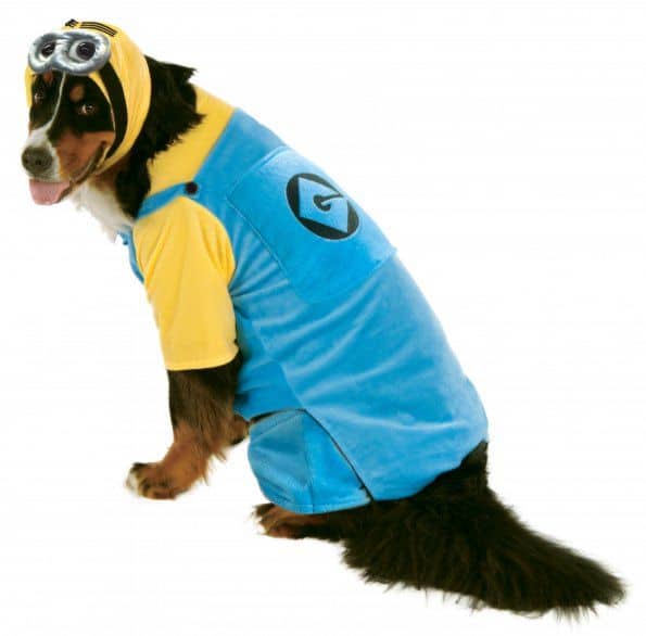 Despicable Me Minions Dog & Cat Costume
